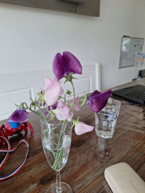 20260602_185124.jpg