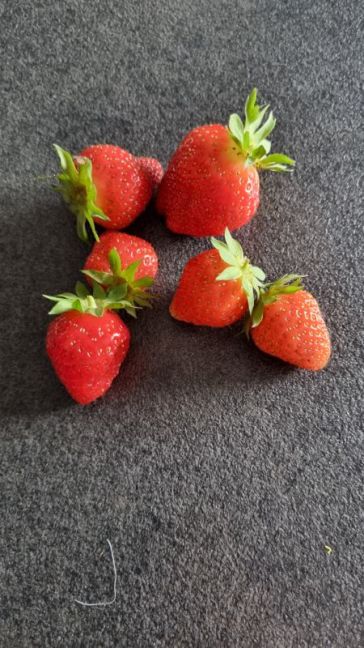20260626_094915.jpg