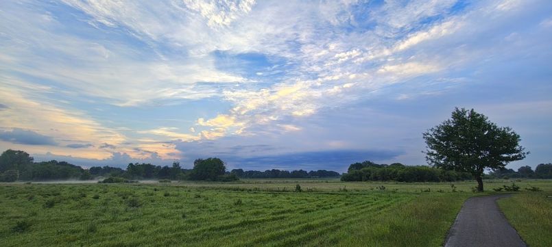IMG_20260619_053543619_HDR.jpg