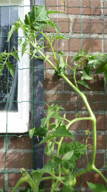 P1060879.JPG