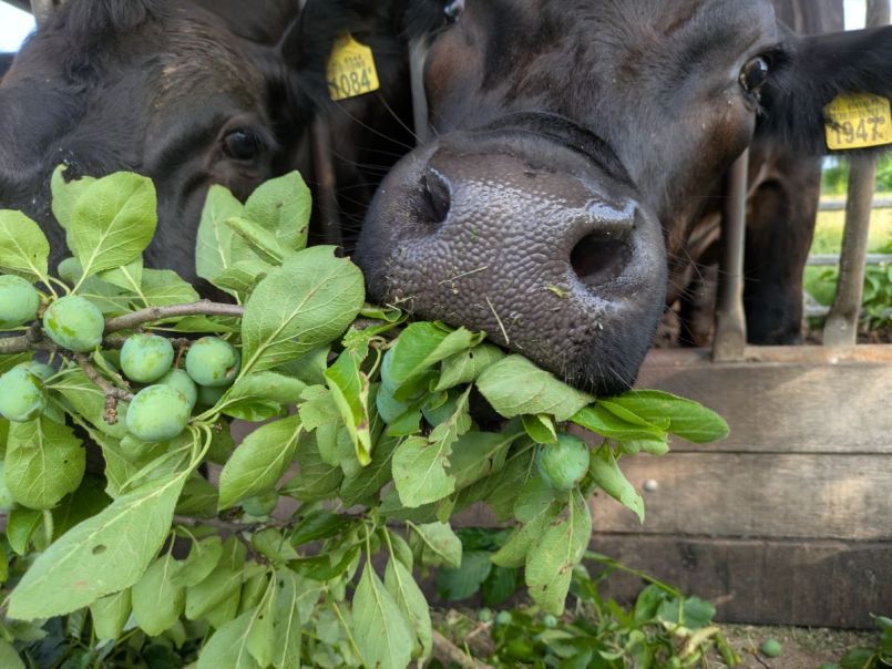 PXL_20260622_060250306.jpg