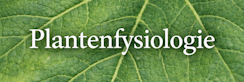 Plantenfysiologie_Startpagina.png