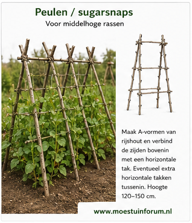 Rijshout_Peulen_Sugersnaps.png Rijshout_Peulen_Sugersnaps.png