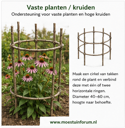 Rijshout_Vaste_Planten_Kruiden.png Rijshout_Vaste_Planten_Kruiden.png