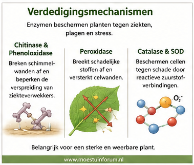 Verdedigingsmechanismen.png