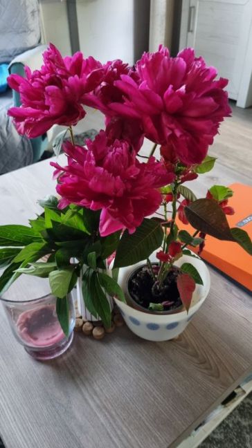 bloemen op tafel 2.jpg
