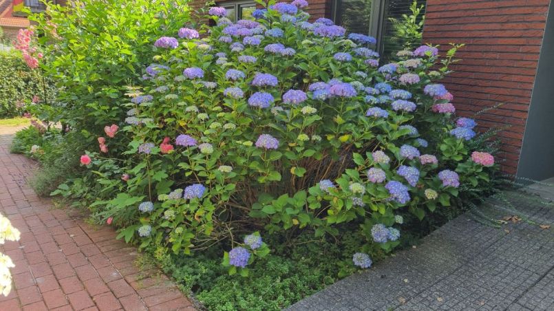 20260701_095504.jpg
