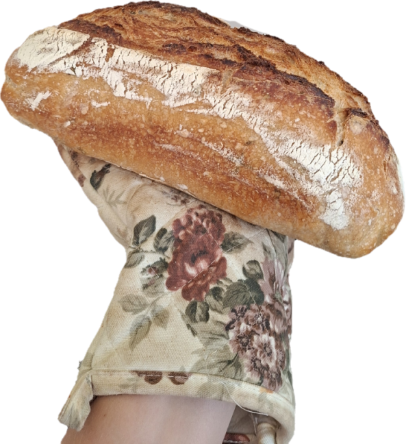 20260703_085129.png