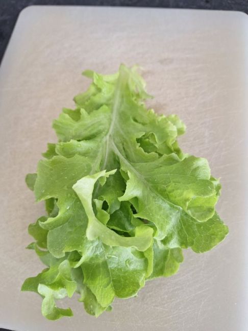 20260703_172841.jpg
