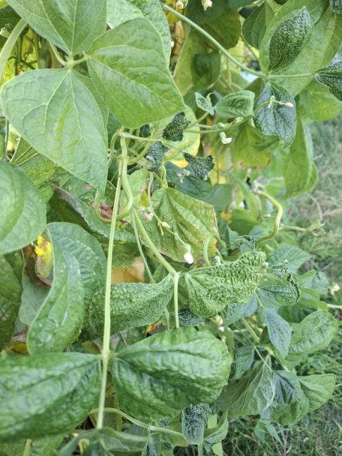 20260714_201926.jpg