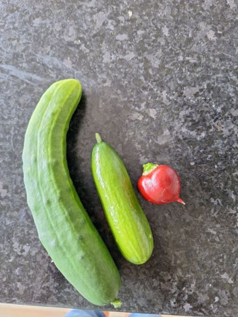 20260721_132941.jpg
