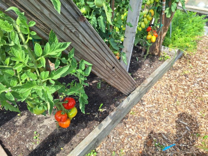 20260722_144534.jpg