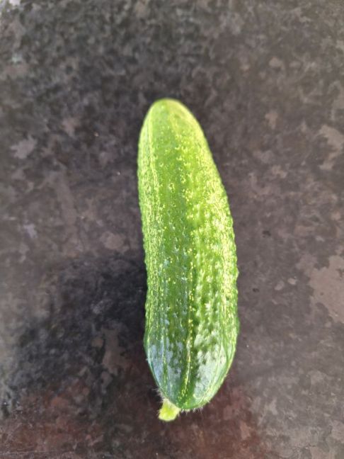 20260726_184731.jpg