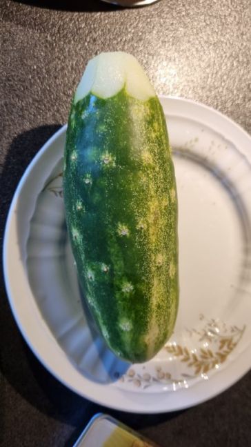 20260728_182402.jpg