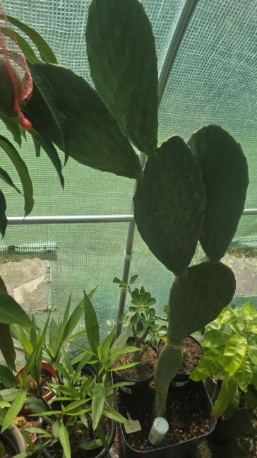 20260729_150912.jpg