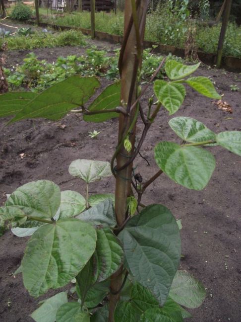 DSCF7586.JPG