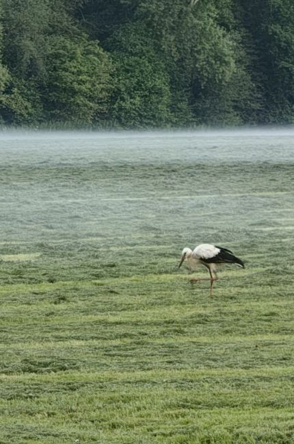 IMG_20260715_053945871_HDR~2.jpg