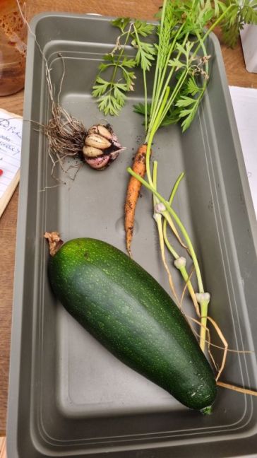 Knoflook courgette wortel.jpg