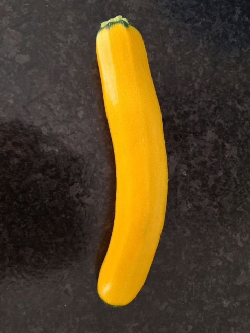 20260802_164930.jpg
