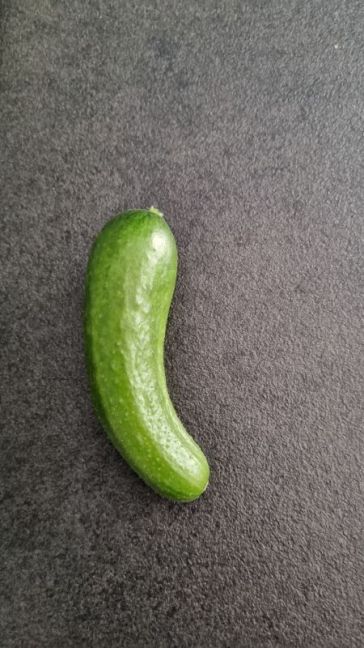 20260803_151230.jpg