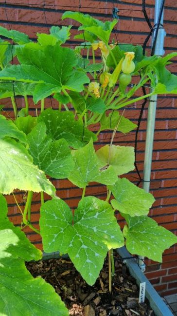 20260809_141624.jpg