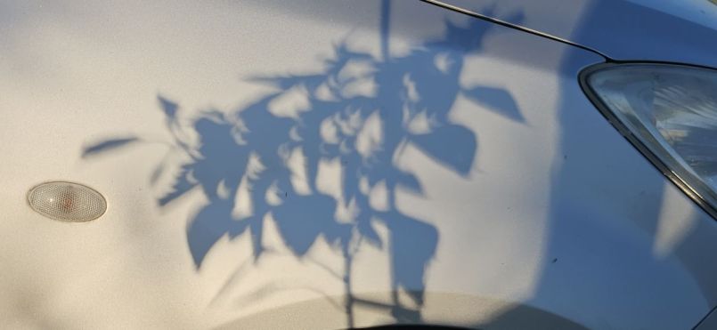 20260812_195106.jpg