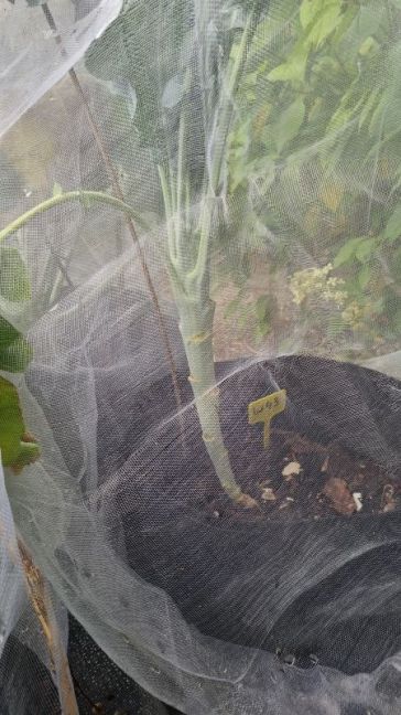 20260817_172609.jpg