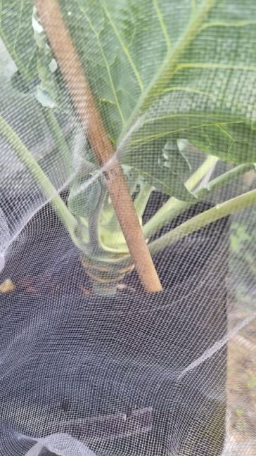 20260817_172641.jpg