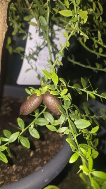 20260821_224813.jpg