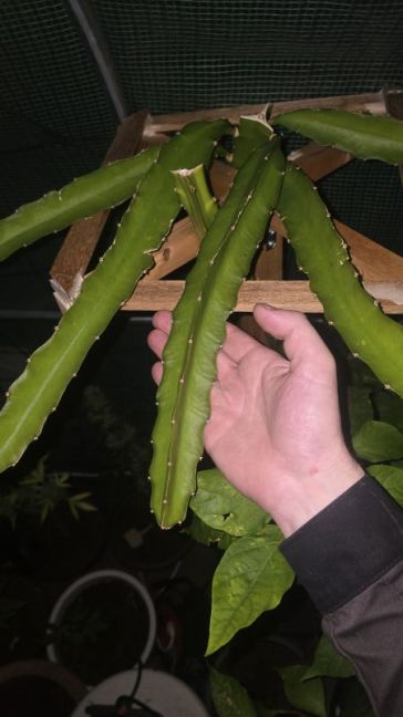 20260821_225409.jpg
