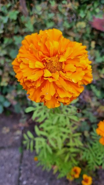 20260825_192532.jpg