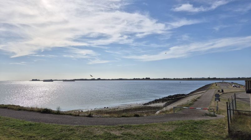 20260825_Schelphoekje.jpg