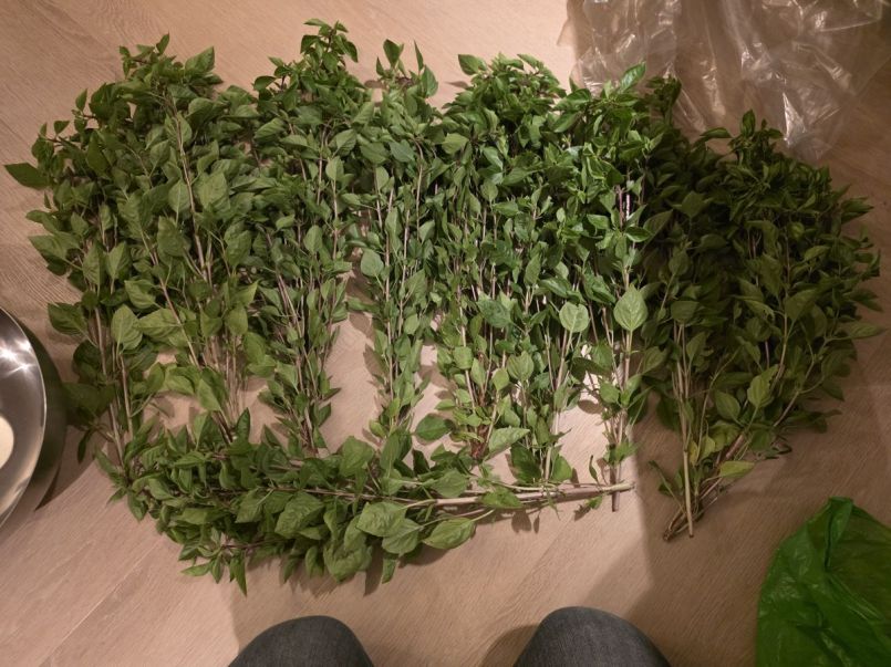 20260827_220434.jpg