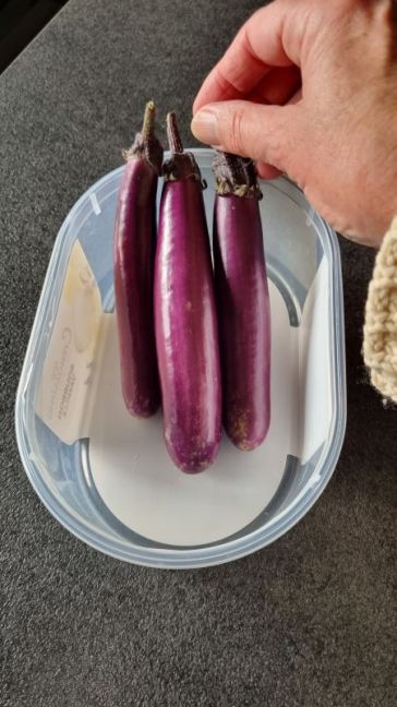 Aubergine SlimJim.jpg