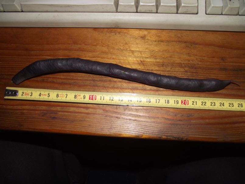 DSCF7597.JPG
