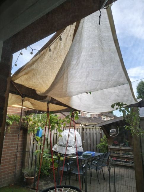 IMG_20260810_200051552_HDR.jpg