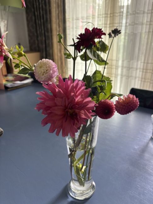 IMG_2533.jpeg