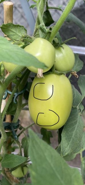 IMG_4572.jpeg