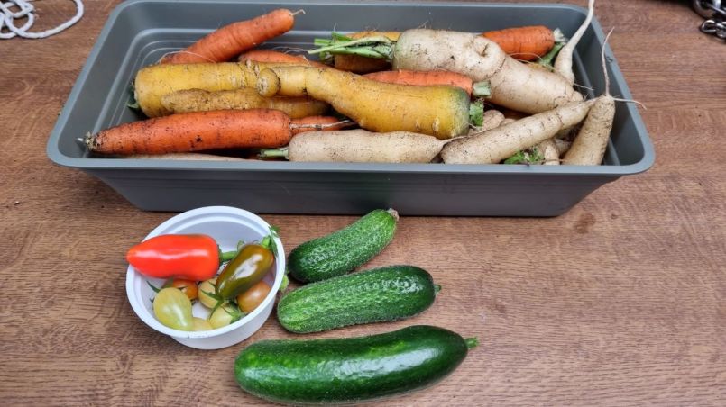 20260903_174548.jpg