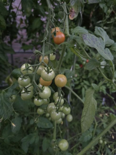 20260906_202149.jpg