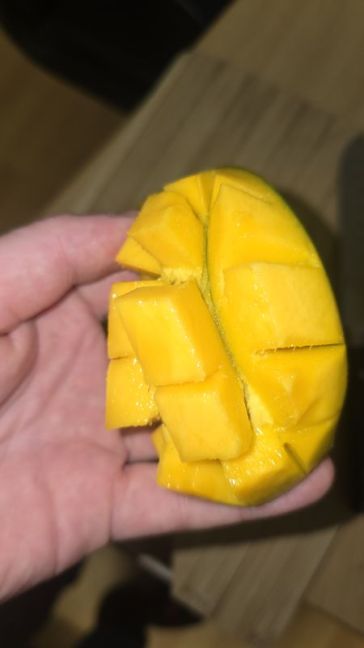 20260917_194315.jpg