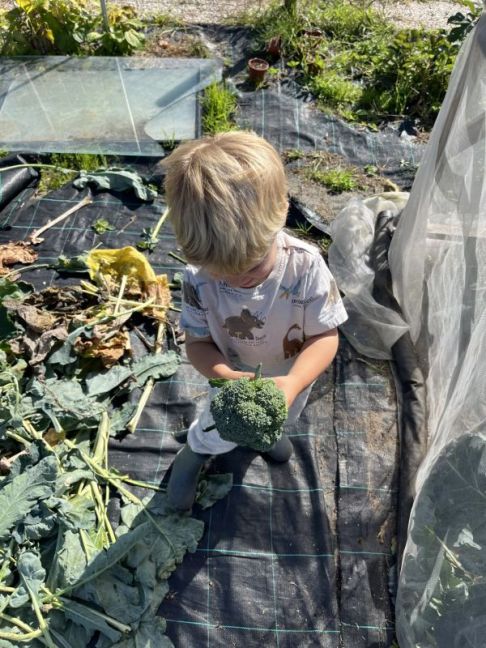 5c69302b-5033-4577-a592-147c66f235a6.jpg