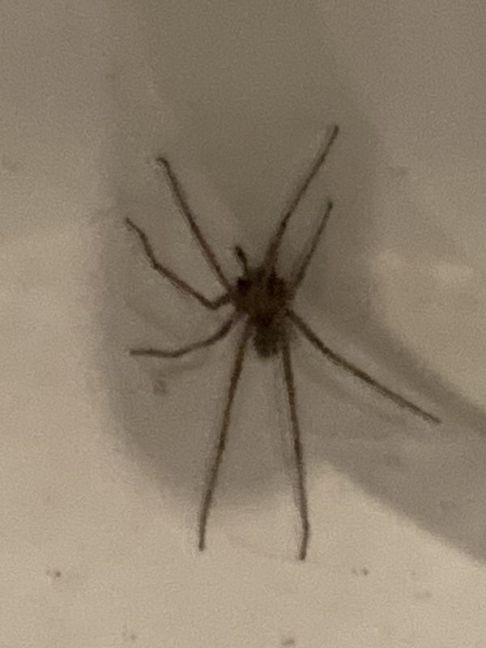 IMG_1332.jpeg