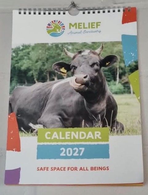 Kalender.jpg