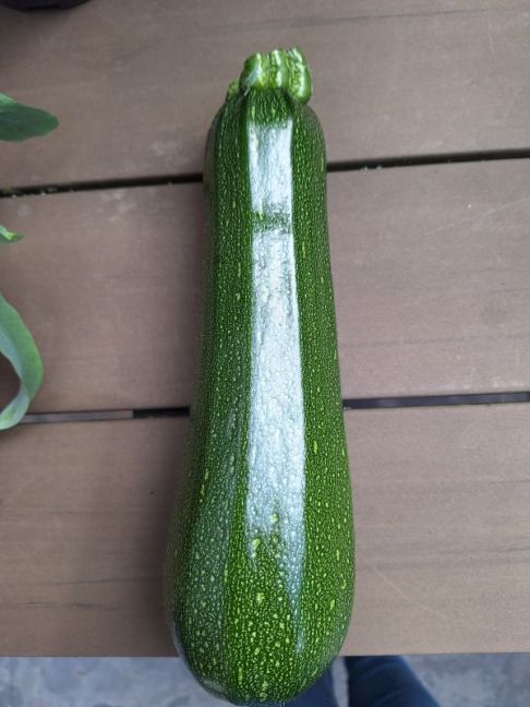20260926_142530.jpg