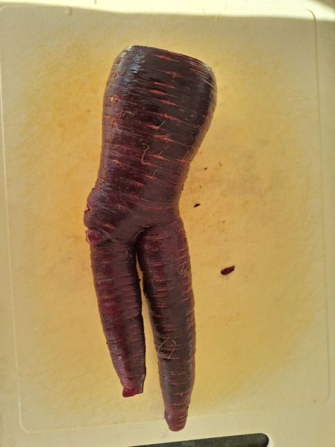 20261002_170520.jpg