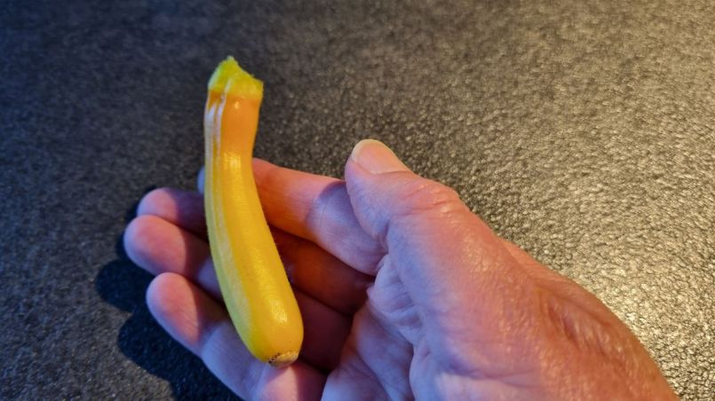 20261005_174301.jpg