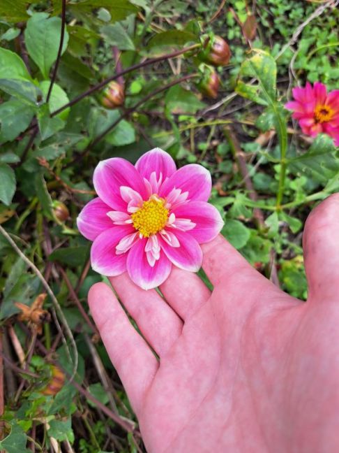 20261016_121801.jpg