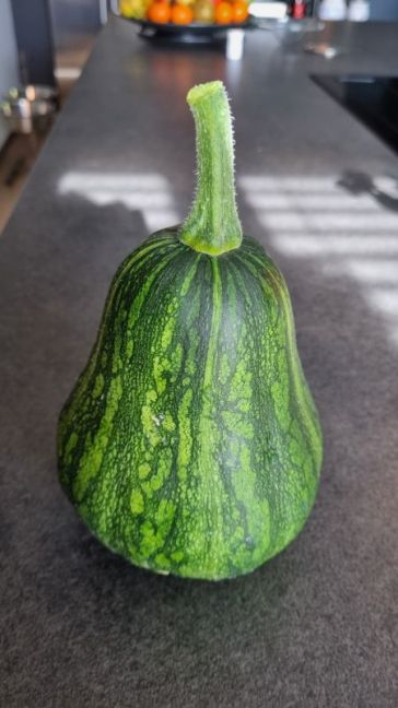 2e plant van rechter B.jpg