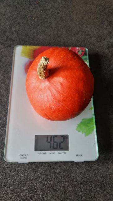 Gebruikt voor Caponata.jpg